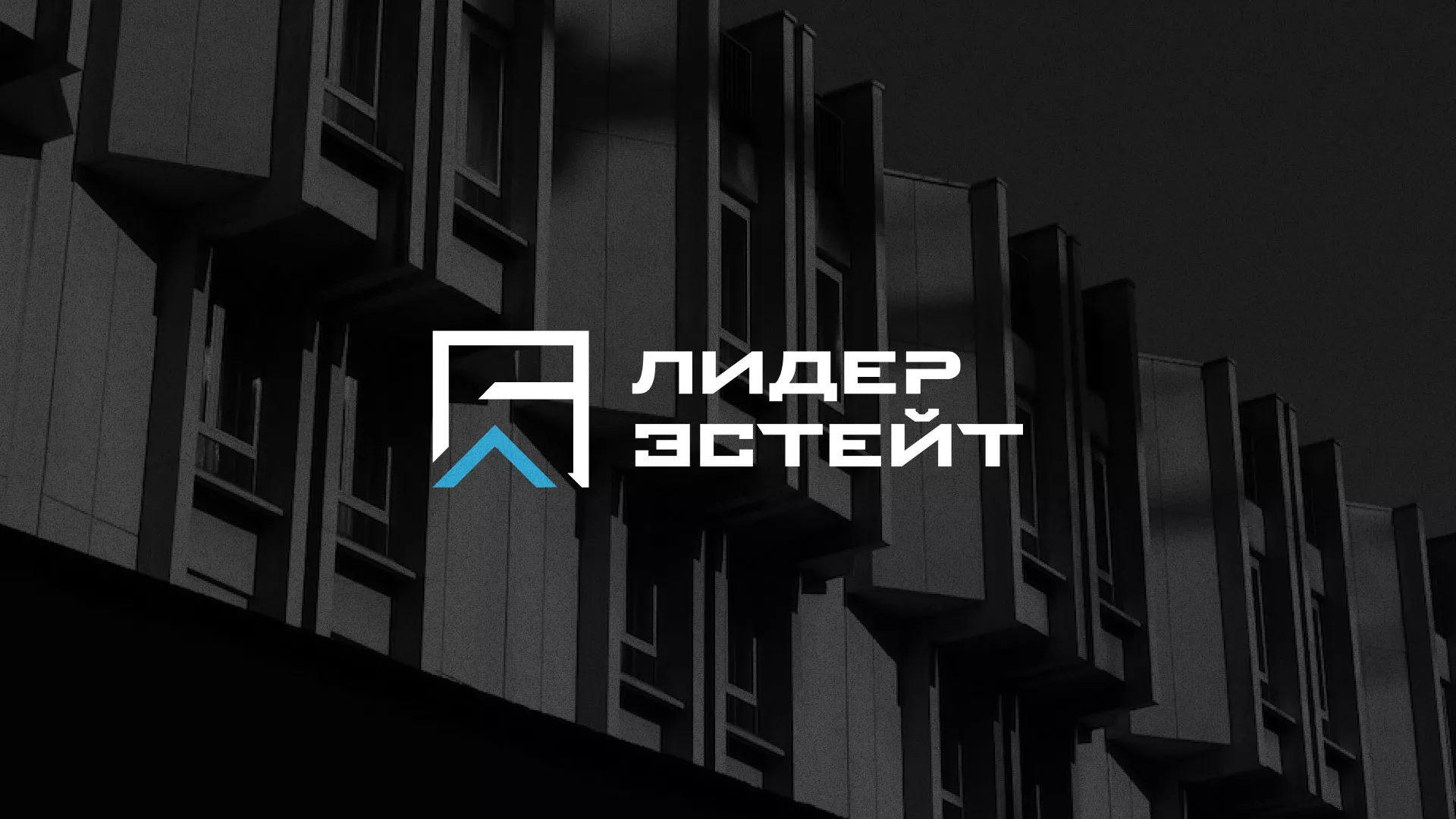 Разработка логотипа агентства недвижимости «Лидер Эстейт» в Болотном